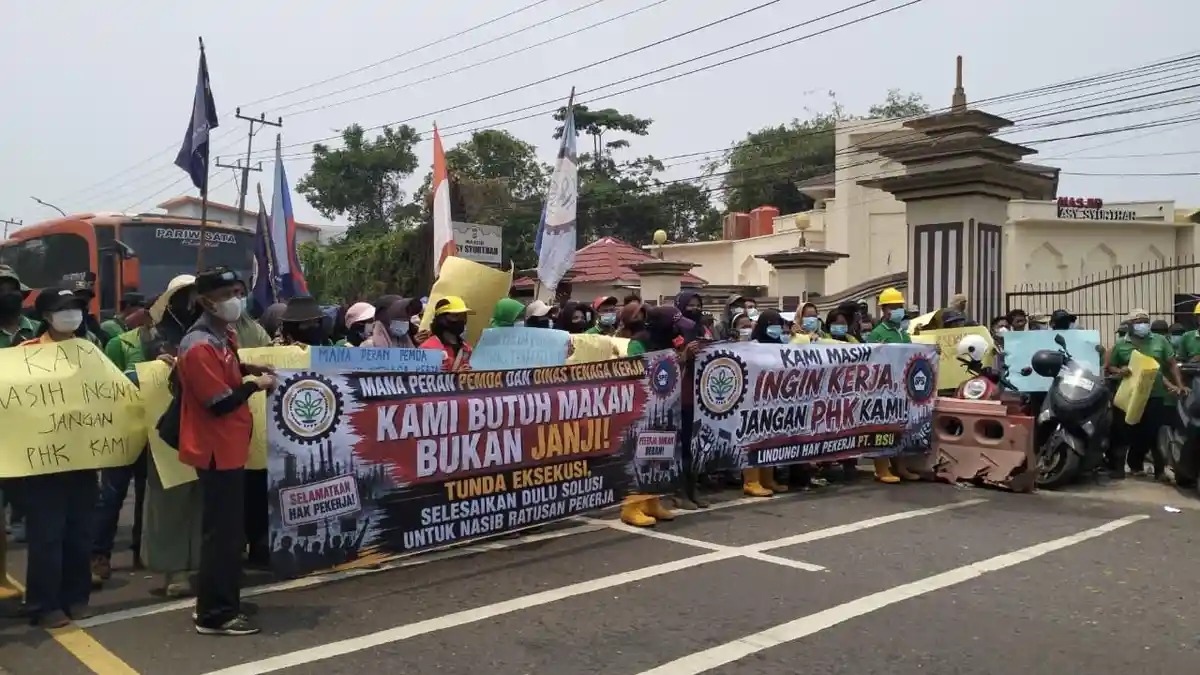 APINDO Jambi Calls for Social and Economic Impact Assessment in PT BSU Land Execution